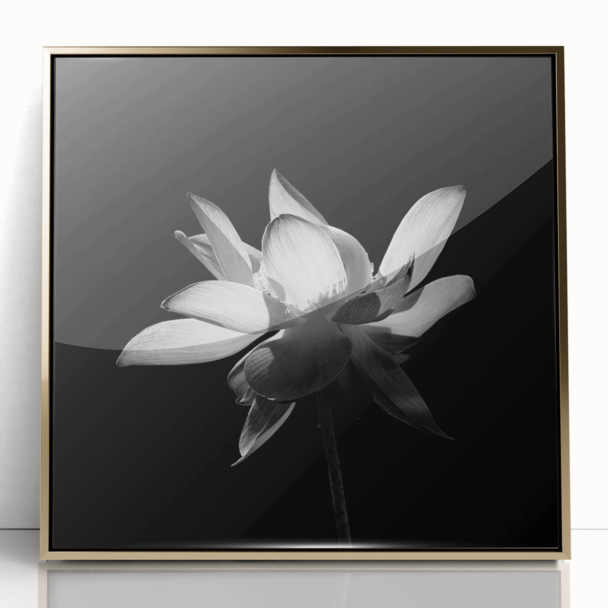 Framed wall art showcasing a vibrant tropical flower design in a gold-accented frame, perfect for enhancing modern decor with a botanical touch.