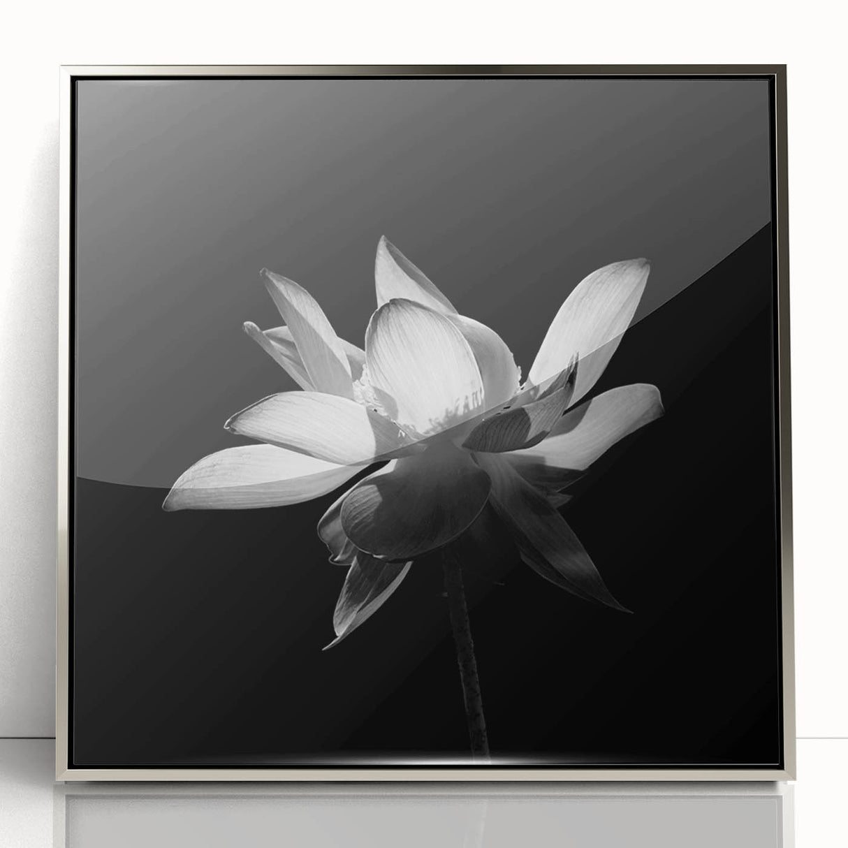Framed wall art showcasing a vibrant tropical flower design, featuring rich colors and intricate botanical details, set in a silver acrylic frame for a modern touch.