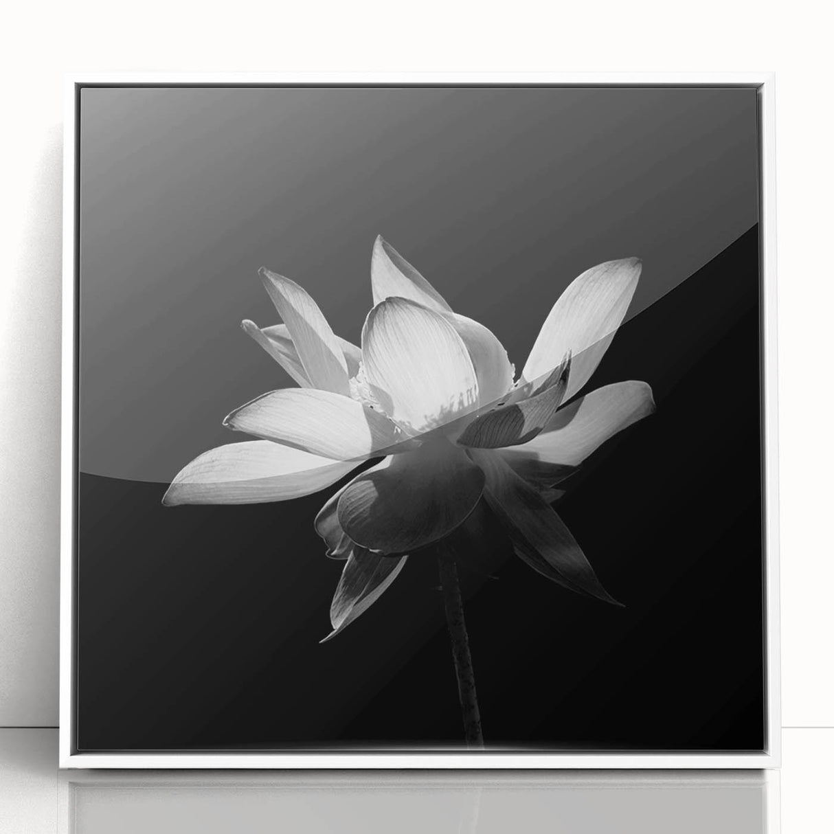 Framed botanical wall art featuring vibrant tropical flowers in a stylish white frame, perfect for enhancing home decor with a touch of nature's beauty.