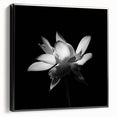 Framed botanical wall art showcasing vibrant tropical flowers on a textured canvas, featuring a sleek black frame, perfect for modern decor.