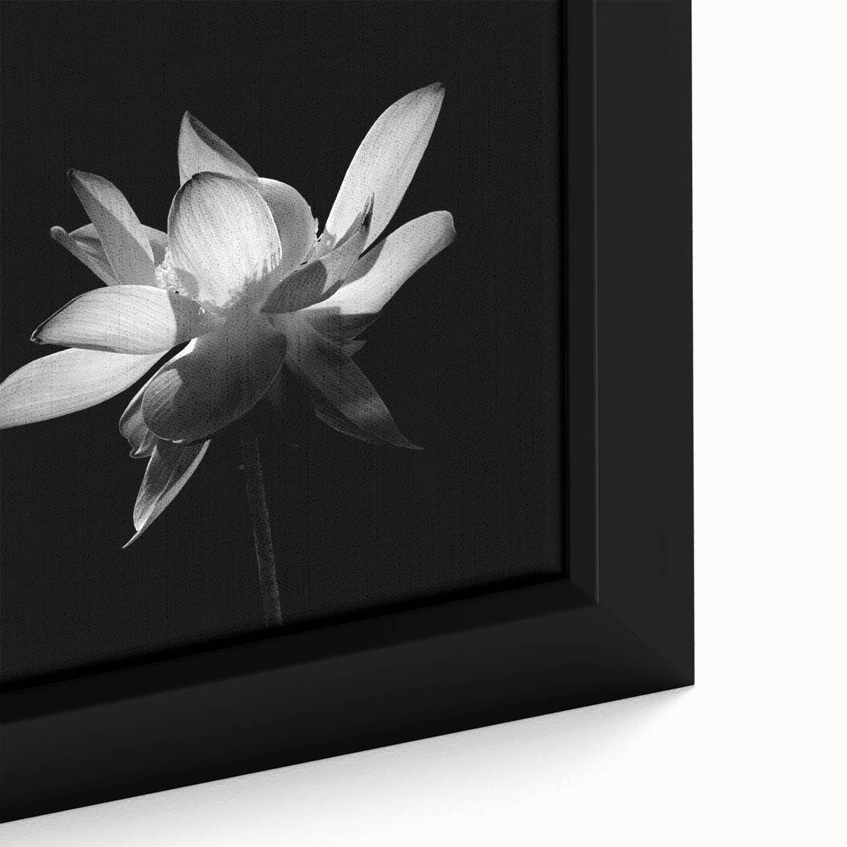 Close-up of a vibrant tropical flower design in a botanical wall art collection, showcasing intricate details and vivid colors on a framed canvas, ideal for home decor.