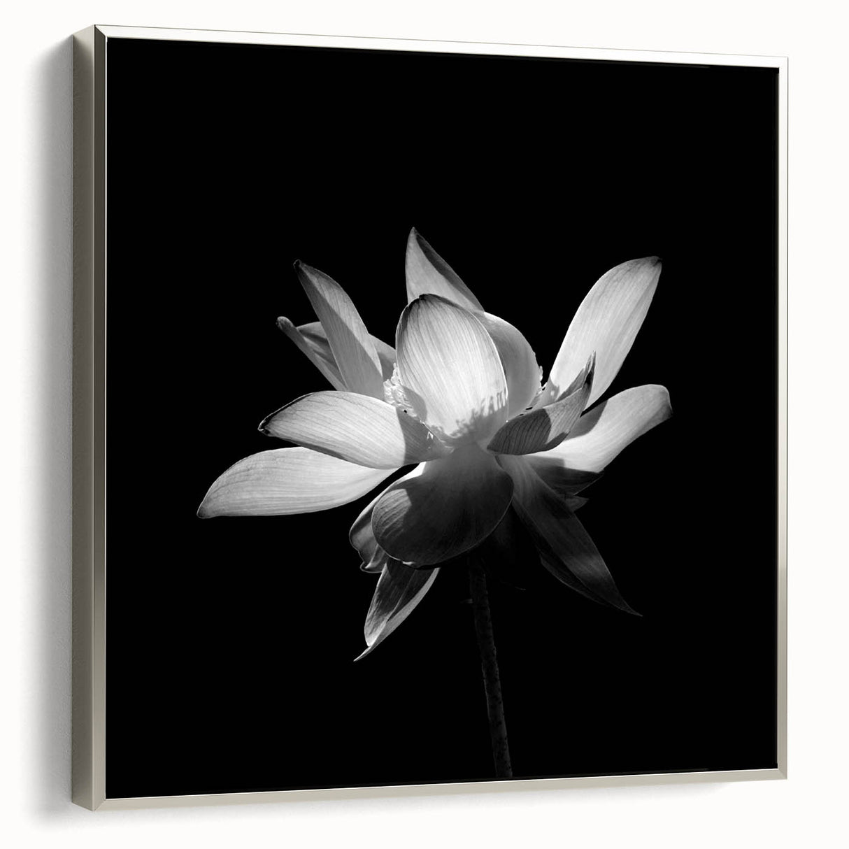 Framed wall art showcasing a vibrant tropical flower design in rich colors, displayed at a slight angle to highlight the silver frame and textured canvas surface. This botanical piece adds a touch of nature-inspired elegance to any decor.