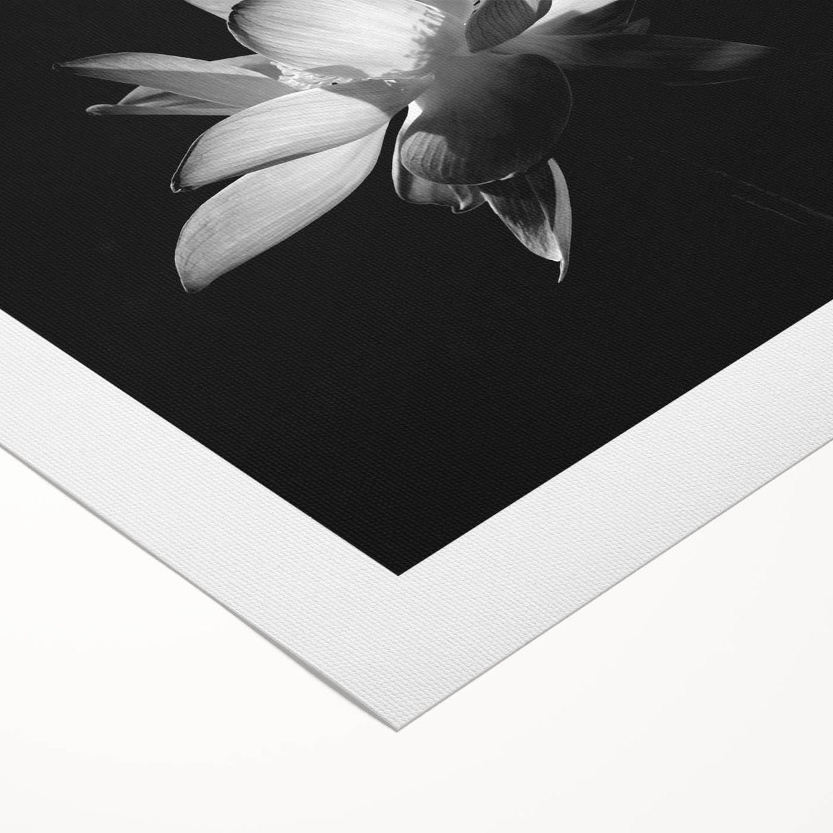 Tropical botanical wall art design showcasing vibrant flowers in a rolled canvas format, perfect for adding a touch of nature-inspired elegance to home decor.