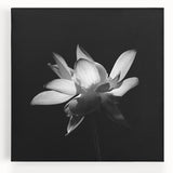Vibrant tropical flower design on stretched canvas wall art, showcasing lush colors and intricate botanical details, perfect for enhancing any modern decor.