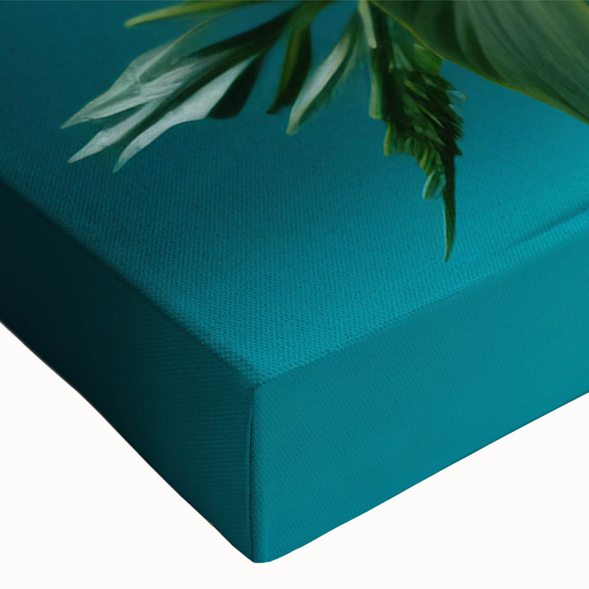 Vibrant close-up of a botanical tropical flower design on stretched canvas, highlighting intricate details and vivid colors, perfect for wall art decor.