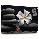 Tropical botanical wall art collection featuring vibrant acrylic glass prints of exotic flowers, displayed in a stylish side view with visible pins, perfect for home decor.
