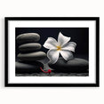 Botanical tropical flower wall art collection featuring vibrant colors in a sleek black frame, perfect for modern home decor and nature enthusiasts.
