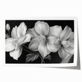 Vibrant tropical floral wall art featuring a botanical design with lush green leaves and colorful flowers, perfect for adding a touch of nature to home decor.