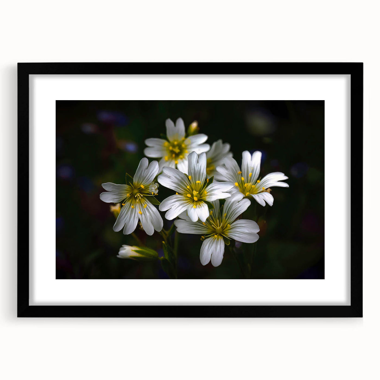 Botanical tropical flower wall art design featuring vibrant colors and intricate details, framed with a black matte finish, ideal for home decor enhancement.