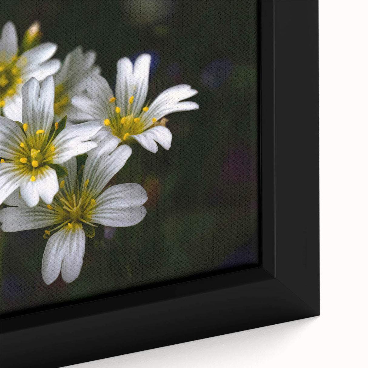 Vibrant close-up of a framed canvas showcasing a botanical tropical flower design with vivid colors and intricate details, perfect for enhancing home decor.