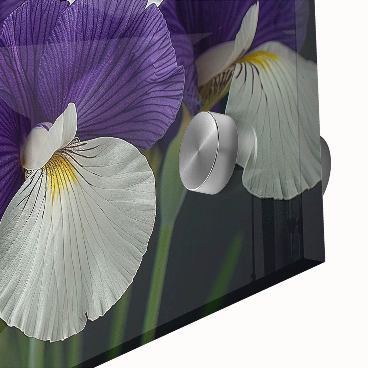 Close-up view of a vibrant tropical flower design wall art piece, showcasing intricate details and vivid colors on acrylic glass, perfect for modern decor.