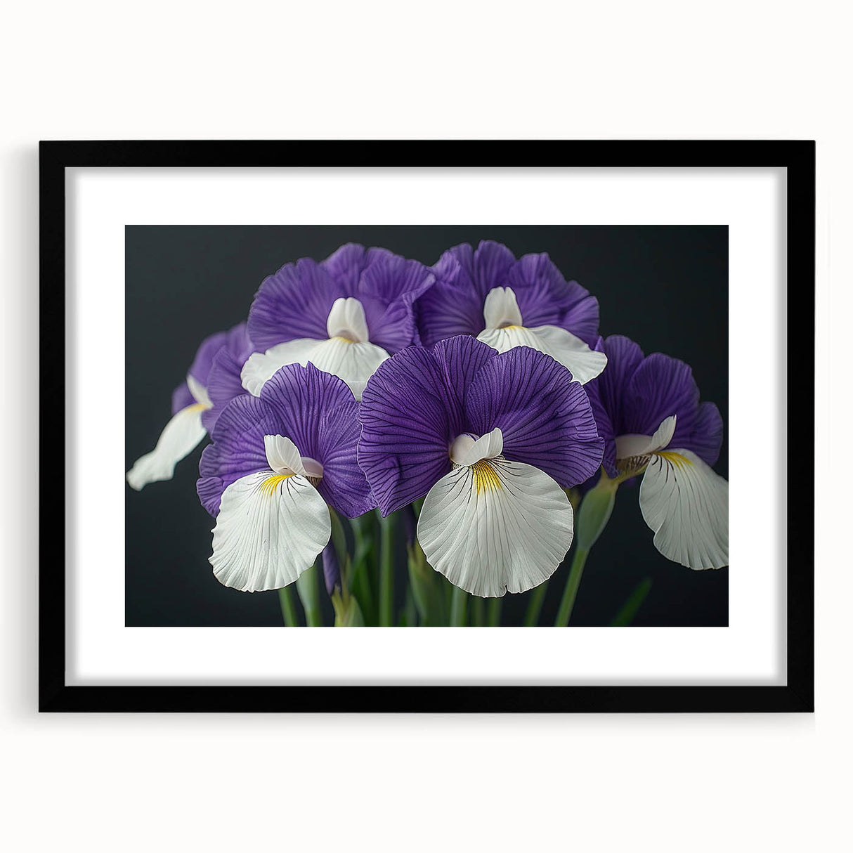 Botanical tropical flower wall art print framed in black with a white mat, showcasing vibrant colors and intricate floral details, perfect for home decor.