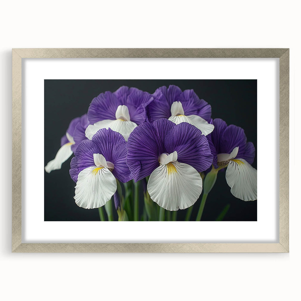 Tropical botanical wall art design featuring vibrant multicolored flowers in a silver frame with a mat, ideal for enhancing modern home decor aesthetics.