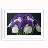 Tropical floral wall art design featuring vibrant botanical illustrations in a white frame with a mat, perfect for home decor and adding a touch of nature.