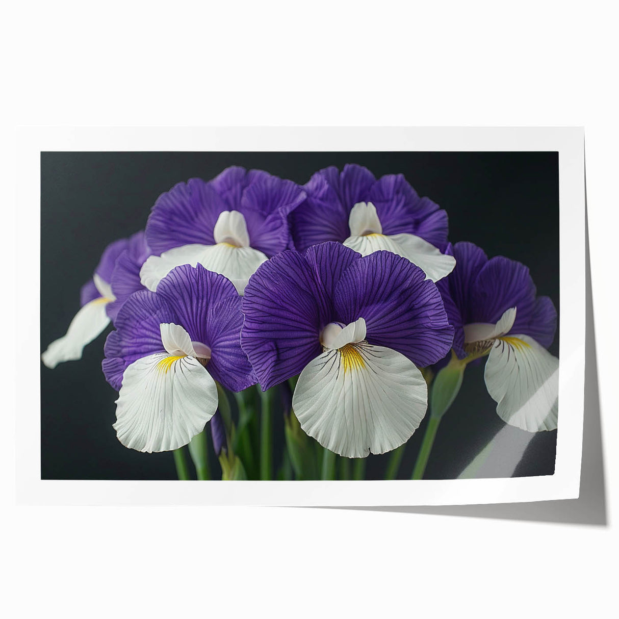 Tropical botanical wall art featuring vibrant pink and green flowers against a soft blue background, ideal for brightening home decor in a modern setting.