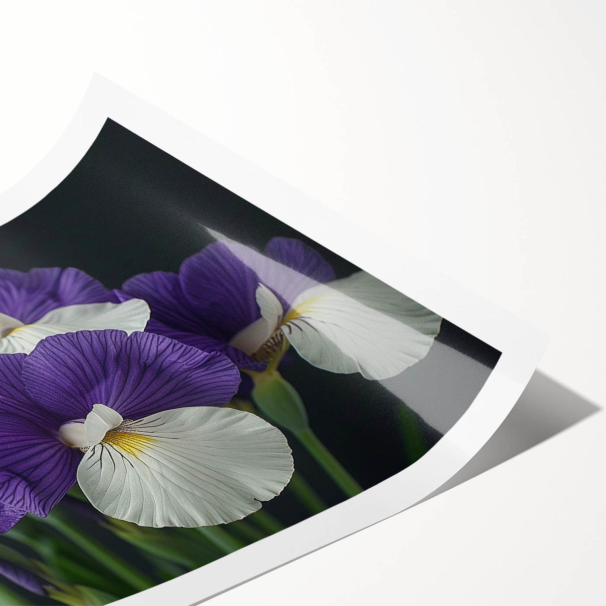 Tropical botanical wall art print showcasing vibrant flowers in bold colors, elegantly rolled for easy display, perfect for brightening home decor.
