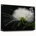 Tropical botanical wall art featuring vibrant pink and green flowers displayed in acrylic glass, showcasing a modern design with pin mounts for easy hanging.