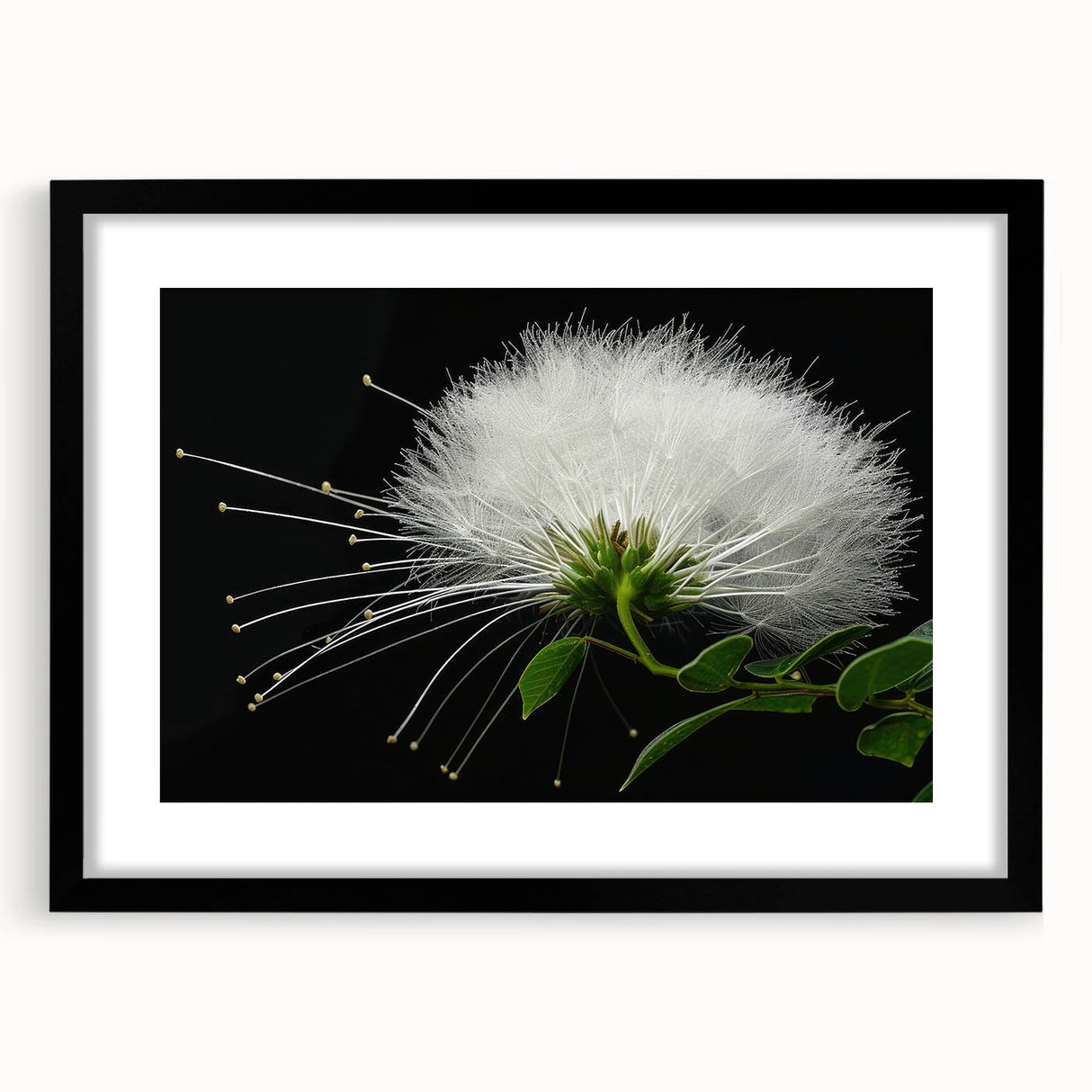 Tropical botanical wall art collection showcasing vibrant flowers in a black frame with matting, perfect for home decor or office styling.