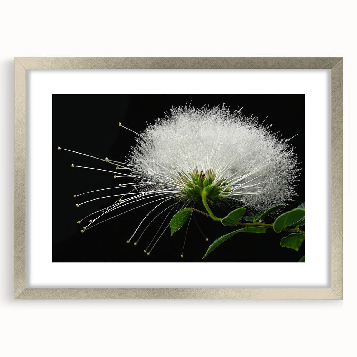 Tropical botanical wall art collection featuring vibrant flowers in a silver frame with a mat, perfect for enhancing home decor. Ideal for nature lovers.
