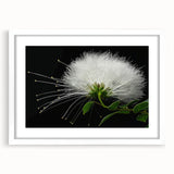 Tropical botanical wall art featuring vibrant flowers in a white frame with matting, perfect for adding a fresh, modern touch to home decor.