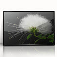 Framed acrylic wall art featuring a vibrant botanical tropical flower design with rich colors, set against a sleek black background, perfect for home decor.
