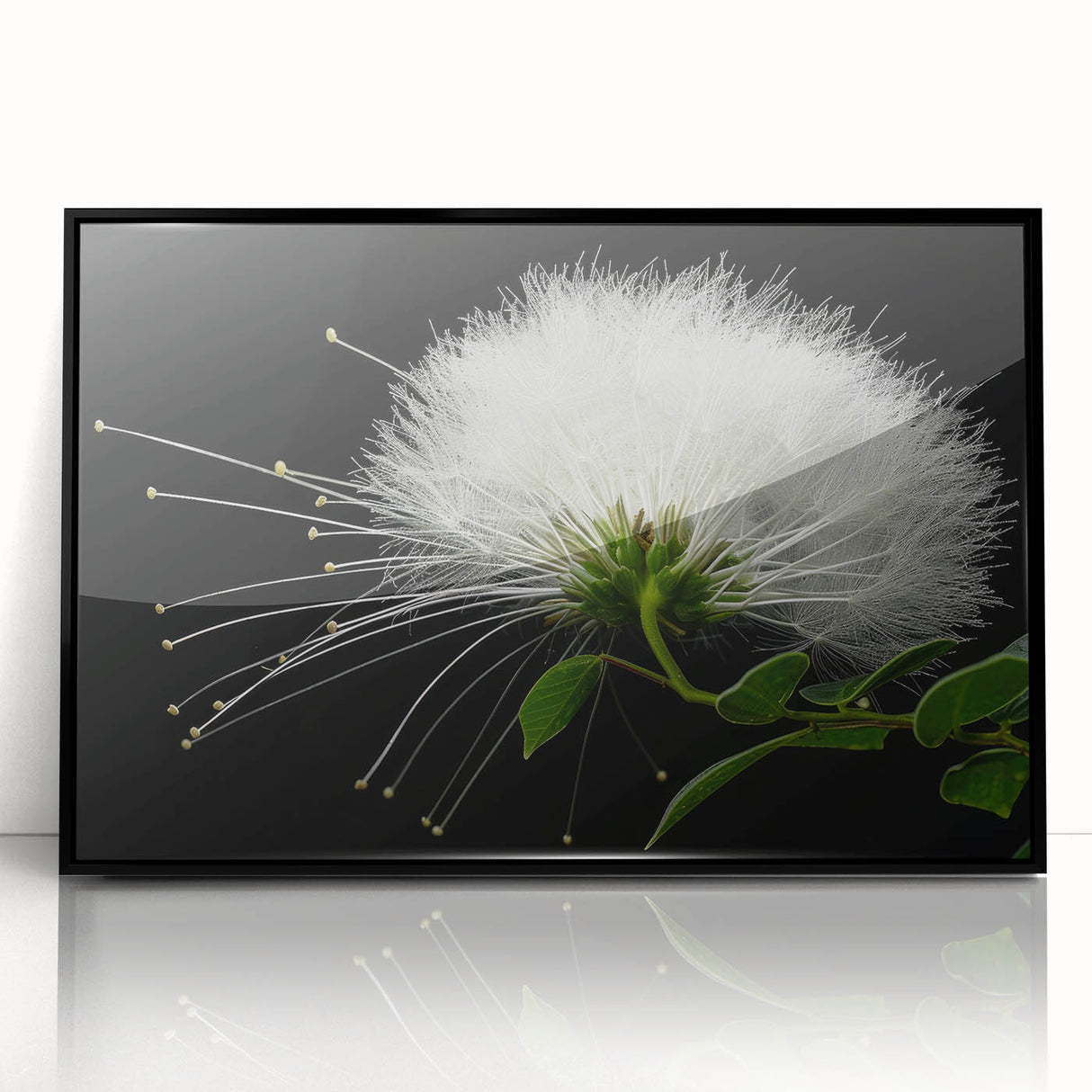 Framed acrylic wall art featuring a vibrant botanical tropical flower design with rich colors, set against a sleek black background, perfect for home decor.