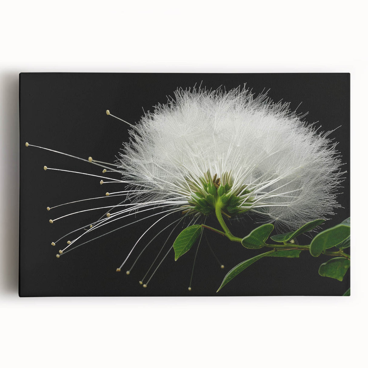 Vibrant stretched canvas wall art showcasing a botanical tropical flower design, featuring bright colors and intricate details, perfect for home decor.