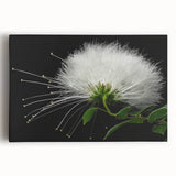 Vibrant stretched canvas wall art showcasing a botanical tropical flower design, featuring bright colors and intricate details, perfect for home decor.