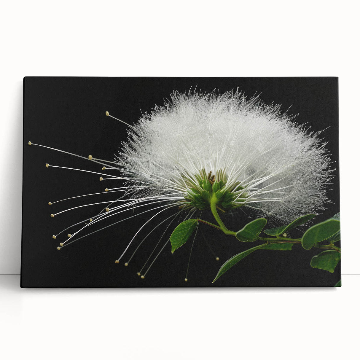 Tropical floral wall art design featuring vibrant colors and intricate botanical details, printed on stretched canvas, perfect for home decor enhancement.