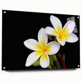 Tropical botanical wall art design featuring vibrant flowers in an acrylic glass frame, showcasing a side view with decorative pins for wall display.
