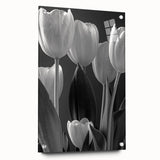 Acrylic glass wall art featuring a vibrant botanical tulip design, showcasing detailed floral patterns and colors, elegantly displayed with pins. Ideal for home decor.