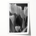 Botanical wall art design featuring vibrant tulips in a colorful arrangement, perfect for home decor. The rolled print showcases intricate details and rich colors, ideal for adding a touch of nature-inspired elegance to any space.