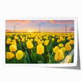 Botanical wall art print showcasing a vibrant tulip design in various colors, rolled and ready for framing, perfect for home decor enthusiasts and floral art lovers.