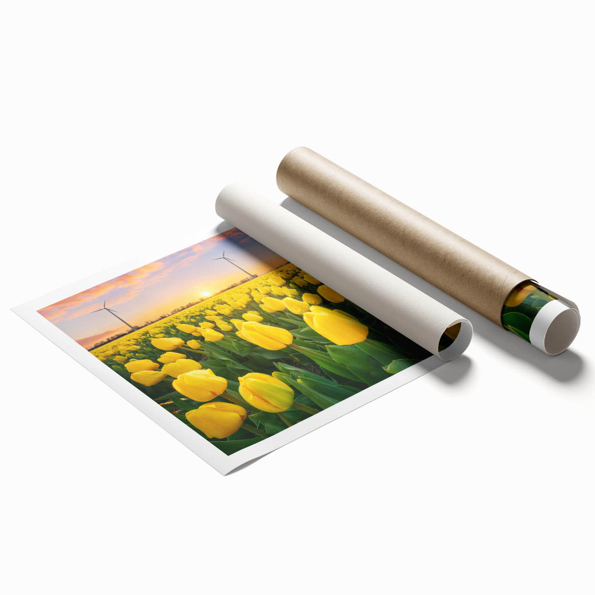 Botanical wall art print featuring a vibrant tulip design in soft pastel colors, rolled and ready for framing, showcasing intricate floral details and textures.