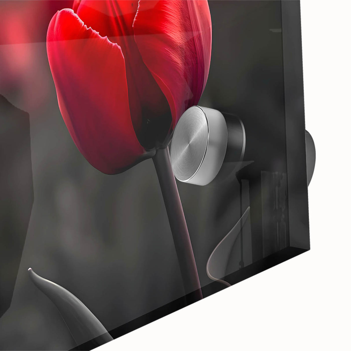 Close-up of a vibrant botanical wall art piece featuring a detailed tulip design, encased in acrylic glass, showcasing rich colors and intricate textures, perfect for home decor.