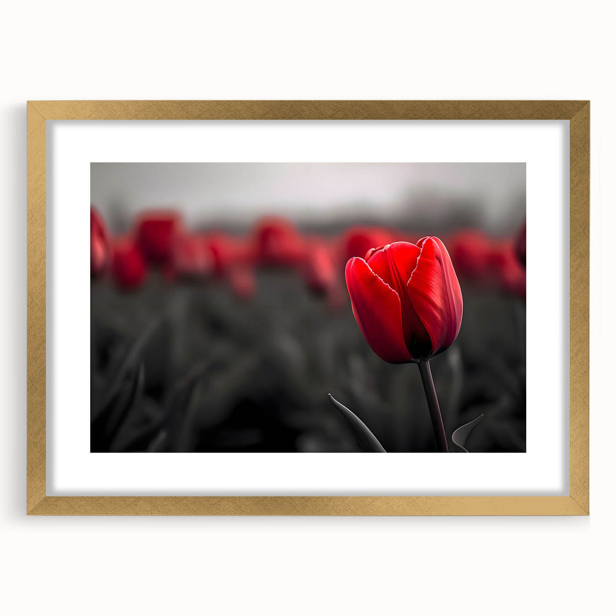 Botanical tulip wall art design framed in gold with a mat, showcasing vibrant floral colors and intricate details, perfect for home decor enhancement.