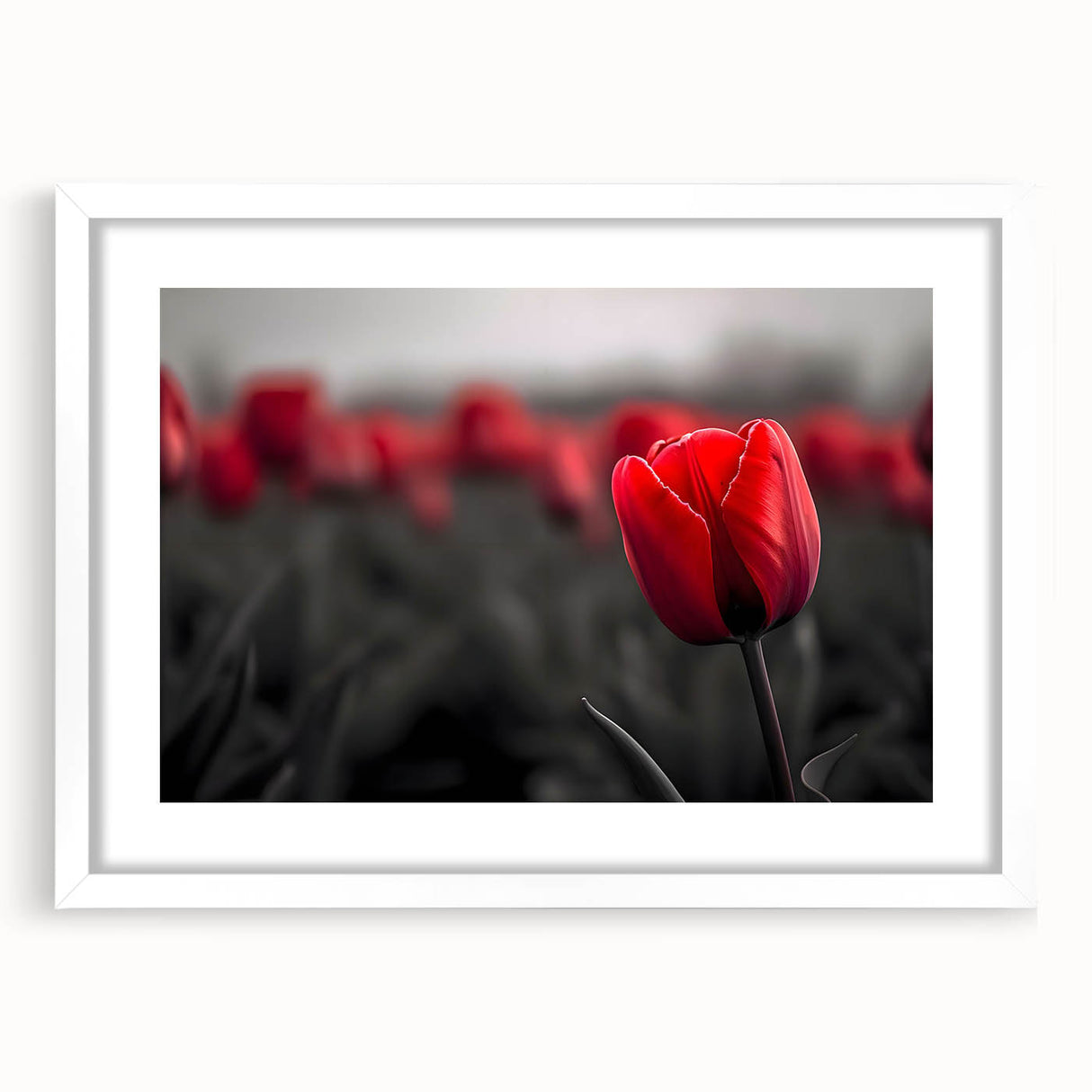 Botanical wall art featuring a beautifully framed tulip design in soft pastels, set against a white mat for an elegant touch, ideal for home decor.