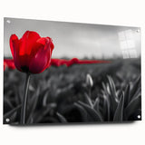 Elegant tulip botanical wall art design displayed in acrylic glass, showcasing vibrant colors and intricate details, ideal for home decor enhancement.
