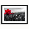 Framed botanical wall art showcasing a vibrant tulip design in a black frame with a white mat, ideal for enhancing home decor and adding a touch of nature.
