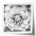 Vibrant botanical water lily wall art print showcasing intricate floral details and soft color gradients, perfect for home decor. Ideal for nature enthusiasts.