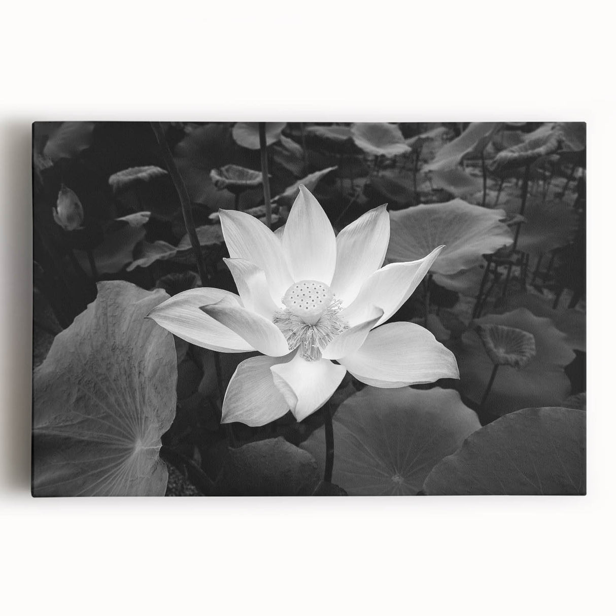 Vibrant botanical wall art featuring a water lily design on stretched canvas, showcasing rich colors and intricate details, perfect for home décor.