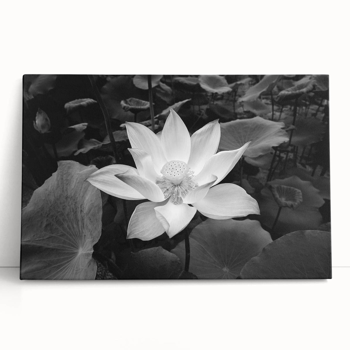 Botanical wall art featuring a serene water lily design on stretched canvas, showcasing soft pastel colors and delicate details, perfect for home decor enhancement.