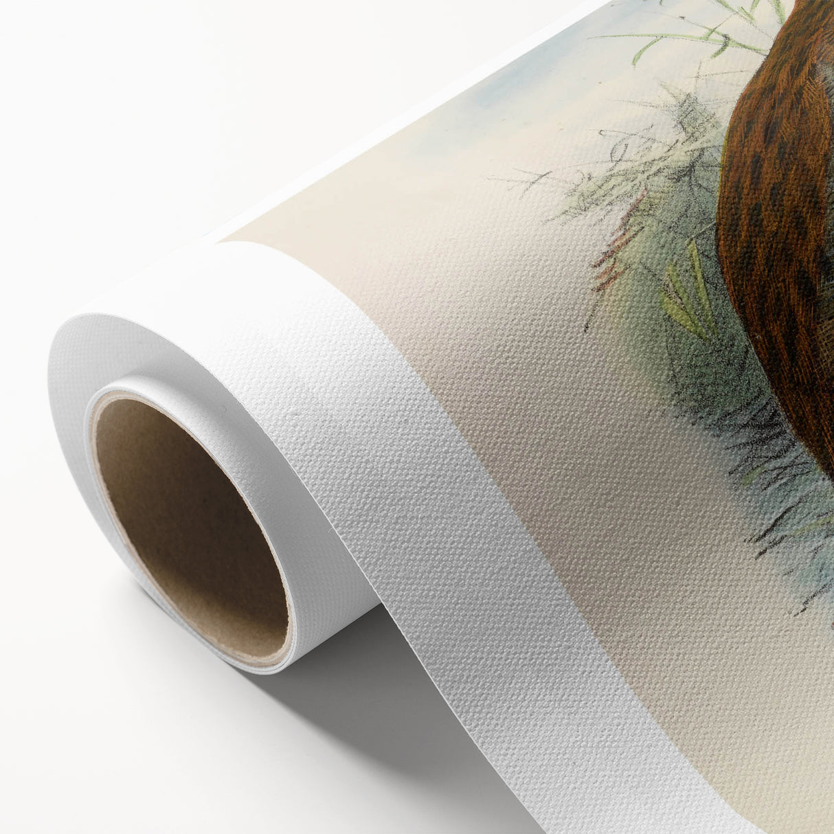 Vintage Animal Art: Bird Illustration Art Print