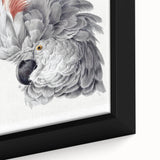 Cockatoo Illustration Art Print – Nature-Inspired Bird Wall Decor