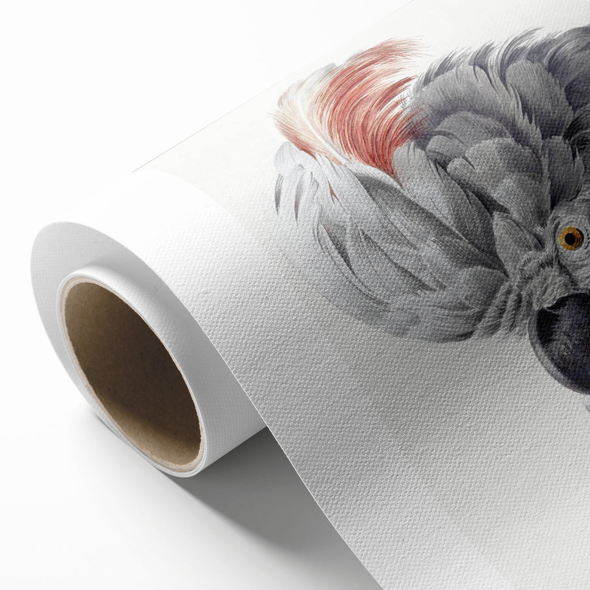 Cockatoo Illustration Art Print – Nature-Inspired Bird Wall Decor