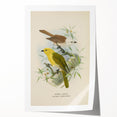 Vintage Animal Art: Bird Illustration Art Print