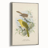 Vintage Animal Art: Bird Illustration Art Print