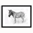 Zebra Illustration Art Print – Detailed Nature-Inspired Animal Decor