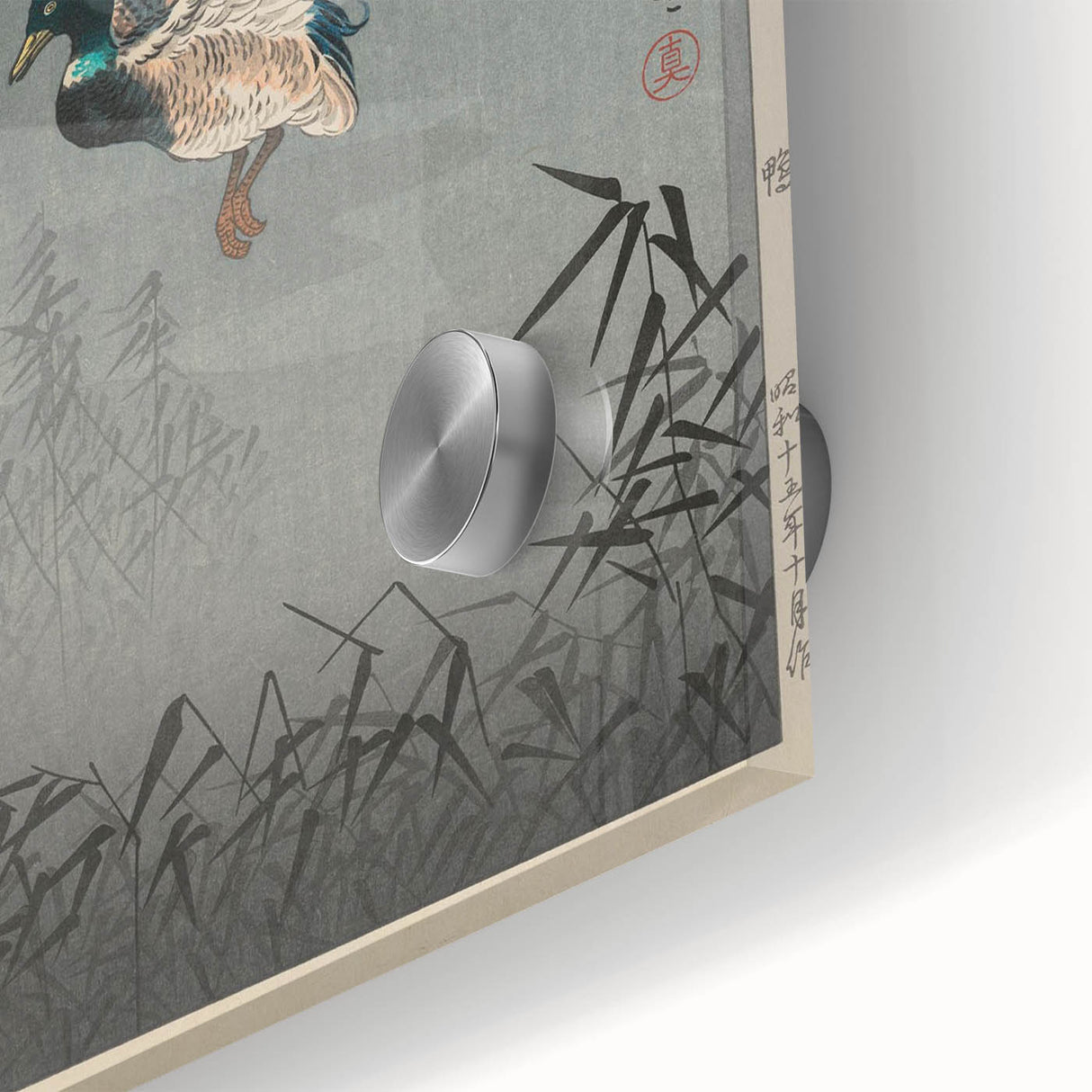 Vintage Animal Art - Ducks in Flight Illustration - Retro Animal Prints
