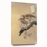 Vintage Animal Art - Hawk on Branch - Retro Animal Prints